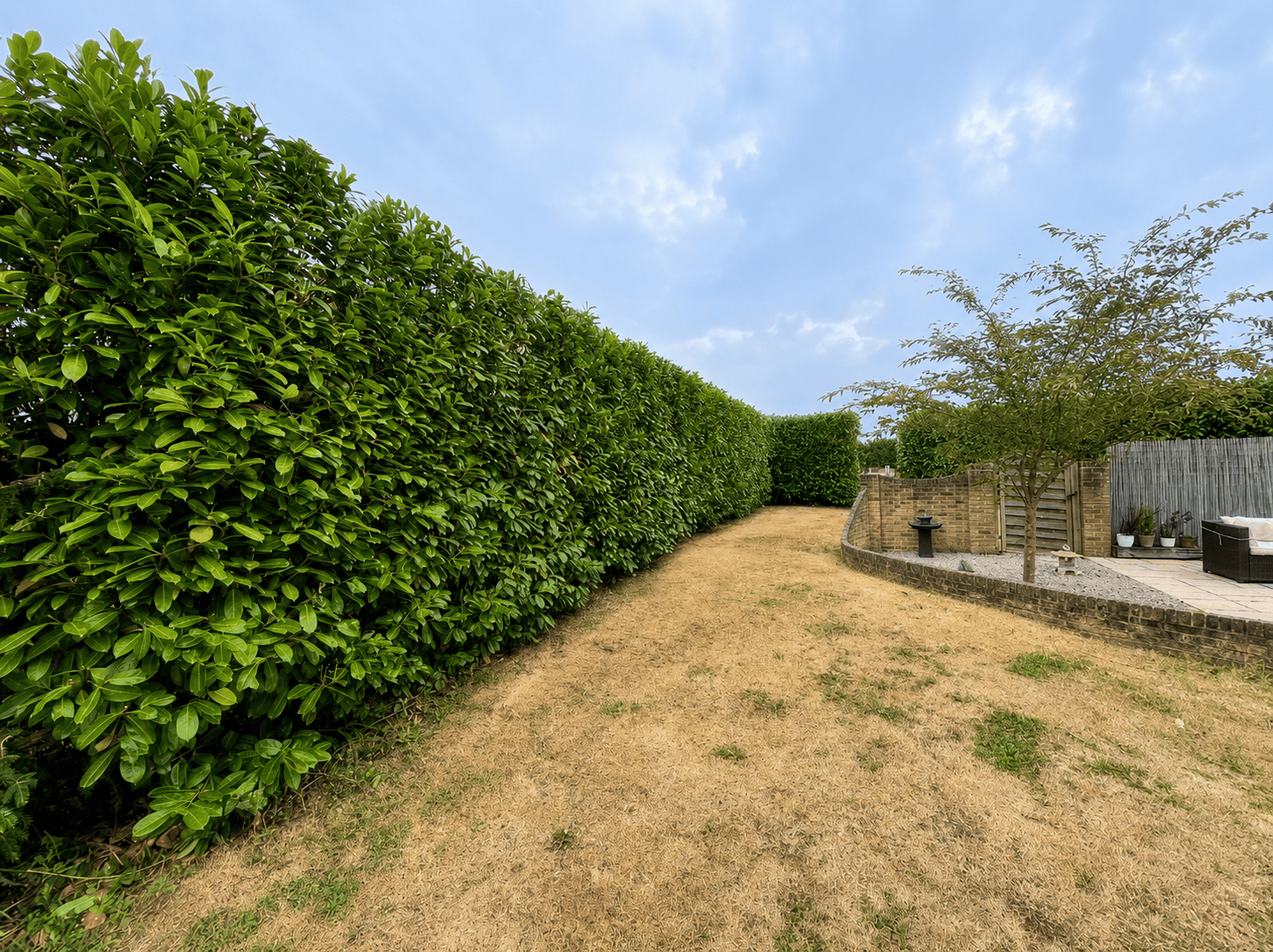 Hedge & Vegetation Management