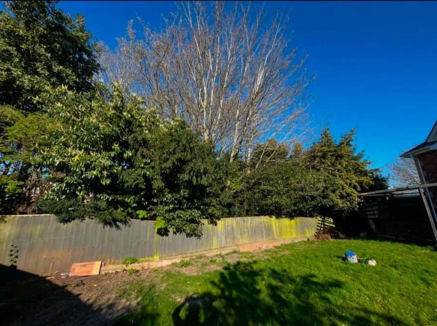 Top-quality tree care and landscaping on the Isle of Wight