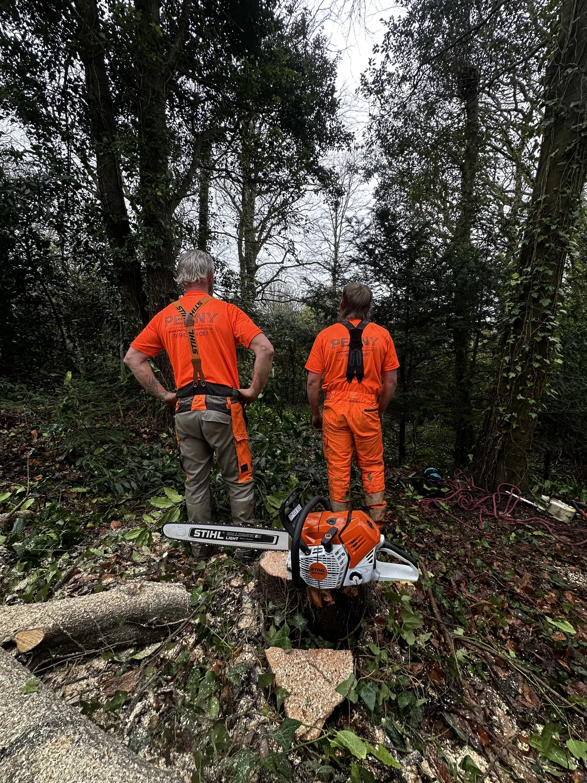 Penny Tree Surgery team with chainsaw equipment in woodland