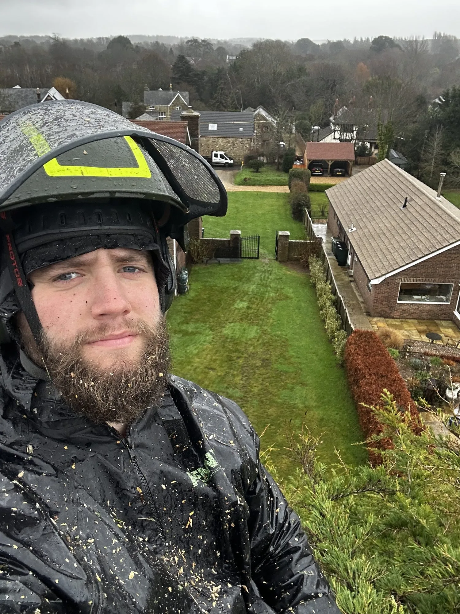 Penny Tree Surgery team member above a Newport garden
